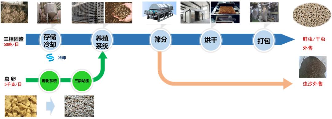 图片10.jpg