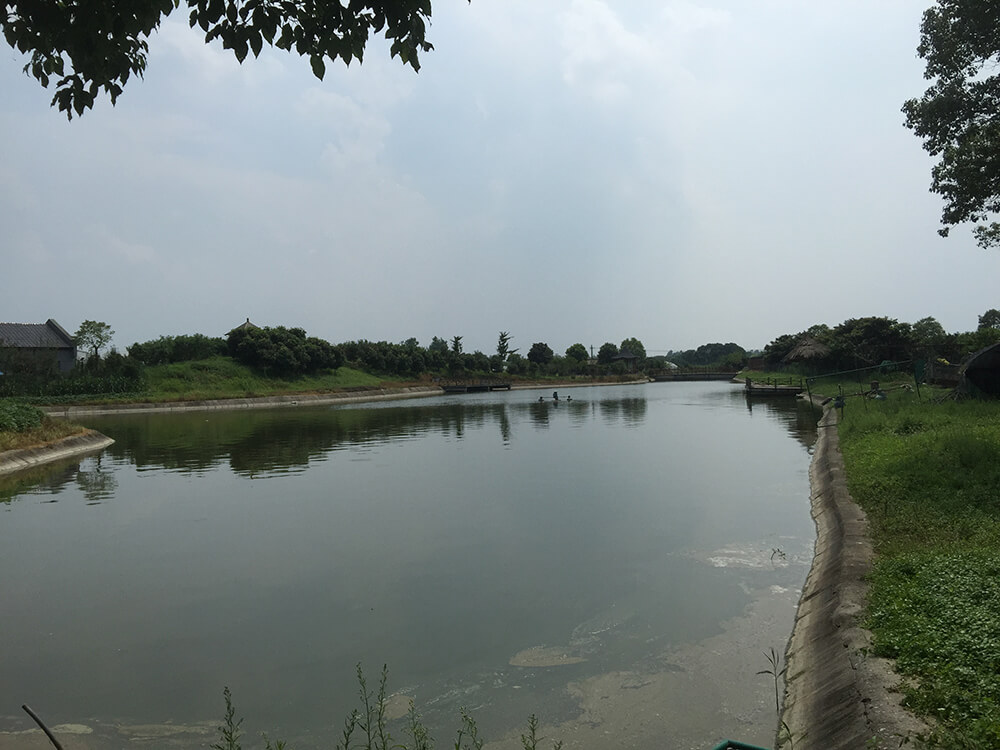 京申有机农场
