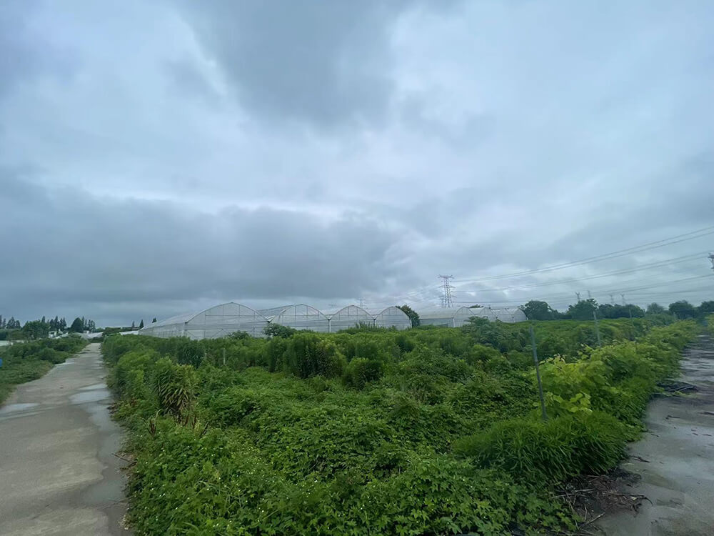 京申有机农场